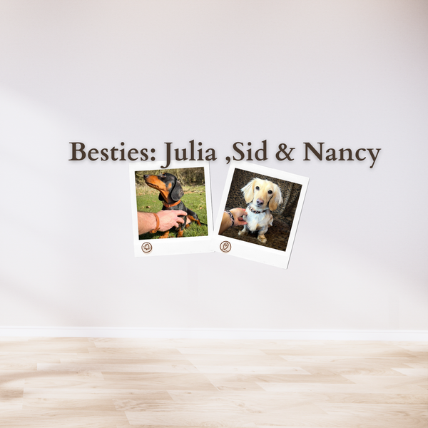 Besties:  Julia, Sid & Nancy