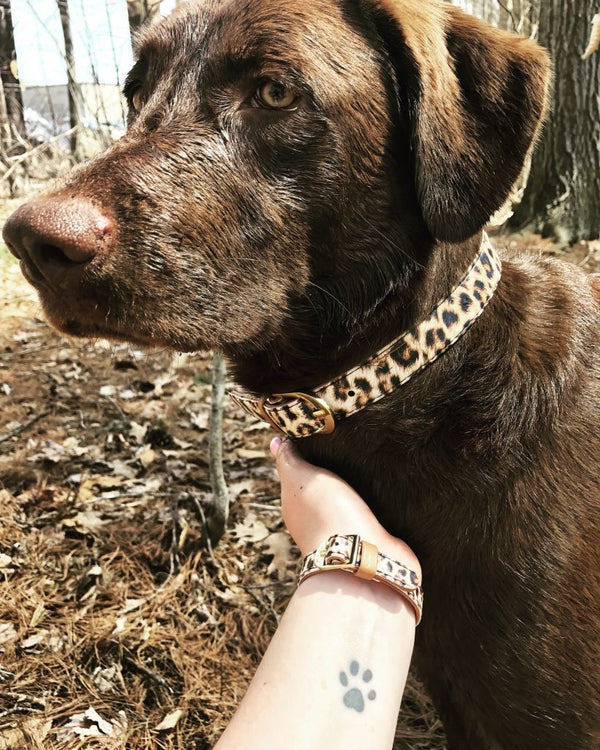 Brittany & Kona