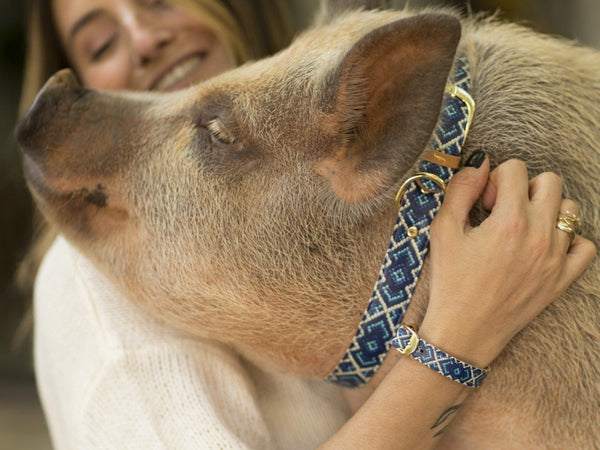 Dea & Jamon The Pig