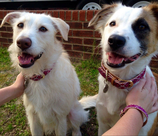 Kara, Dixie & Piper