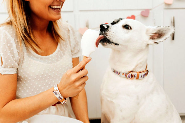 Love is Sweet: Vegan Valentine’s Dog Treats