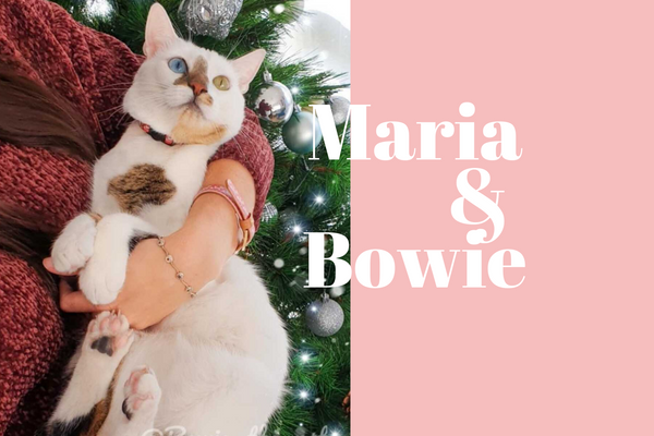 Maria & Bowie