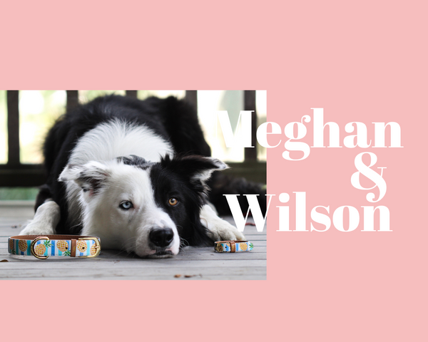 Meghan & Wilson