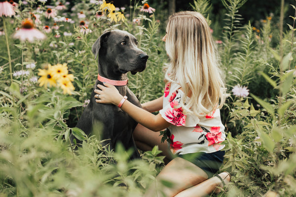 Matching Dog and Owner Collars: A Fun Trend for Pet Lovers
