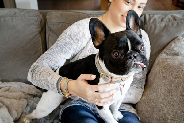 Rupert & Stephanie