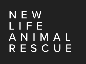 New Life Animal Rescue in New Jersey