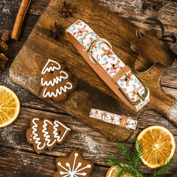 Sweet Holiday Dog Treats for Your Bestie