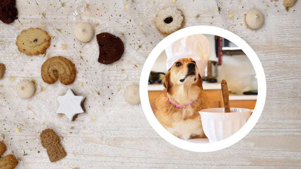 You NEED to make these dog damn delicious snacks!
