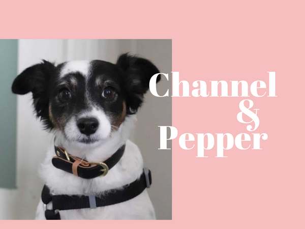 Chanel & Pepper