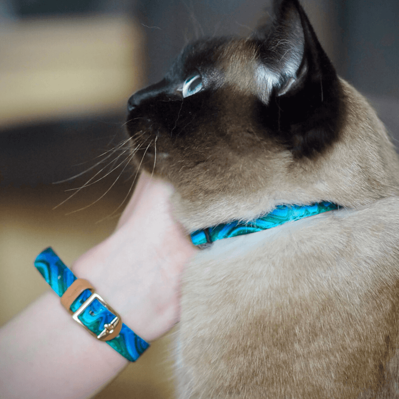 Magical Malachite - Cat Collar