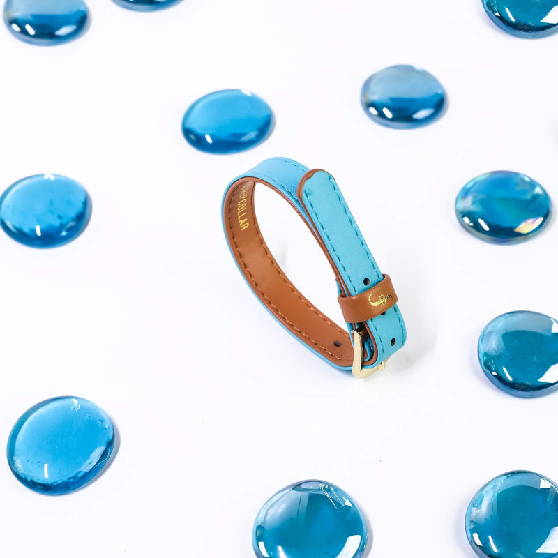Extra Bracelet for The Classic Pup - Azure