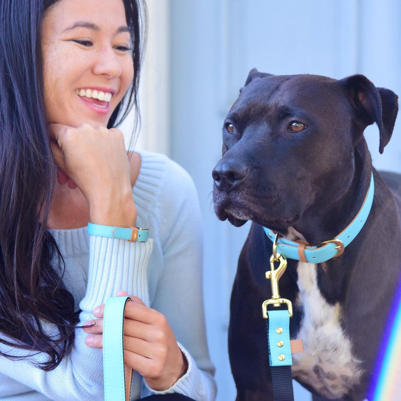 The Classic Pup: Azure - Leash