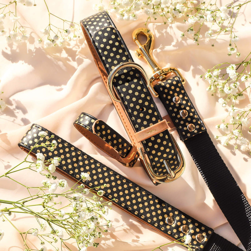 Dotty About You