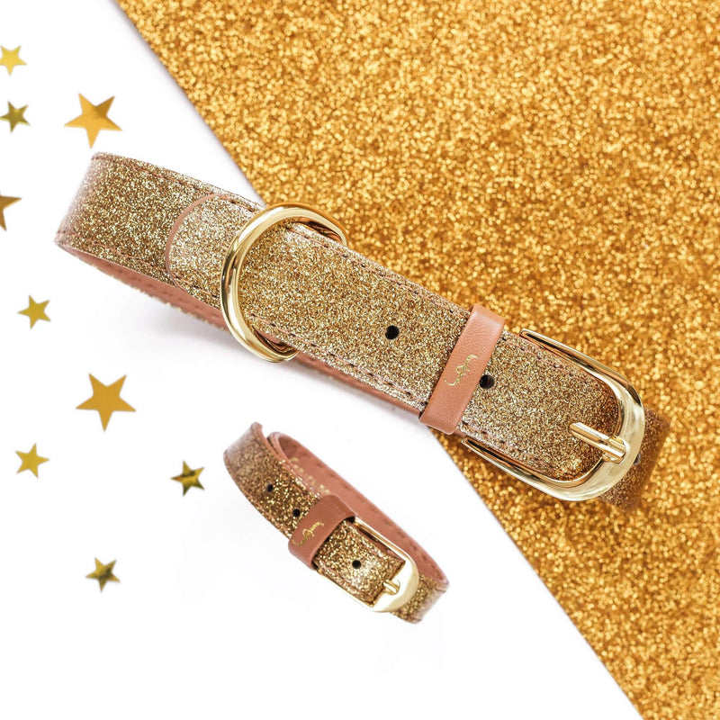 The Sparkling Pup: Glitter Gold