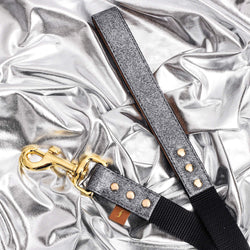 The Sparkling Pup: Glitter Silver - Leash