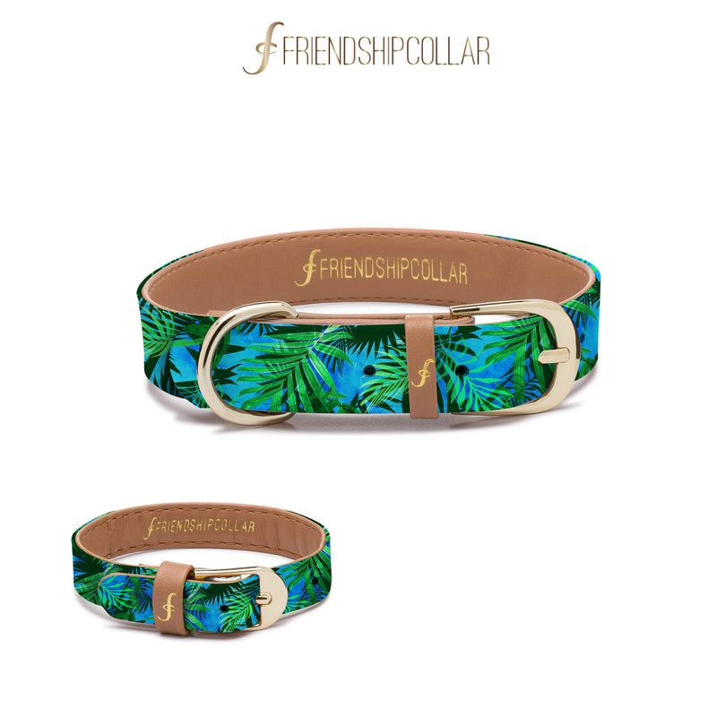 Hot Tropics