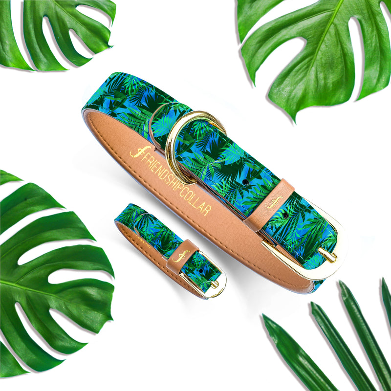 Hot Tropics