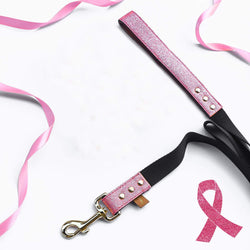 Pawsitively Pink - Leash