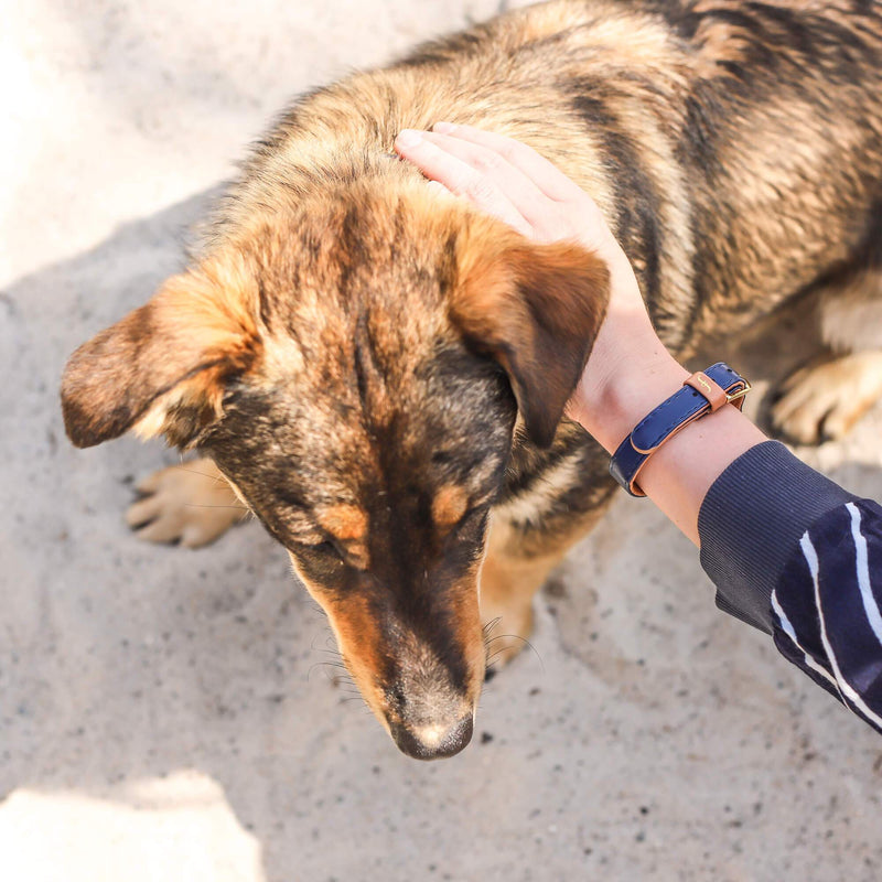 Extra Bracelet for The Classic Pup - Monaco Blue