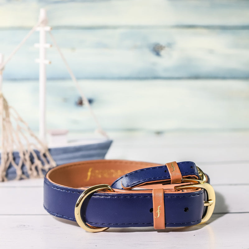 The Classic Pup: Monaco Blue