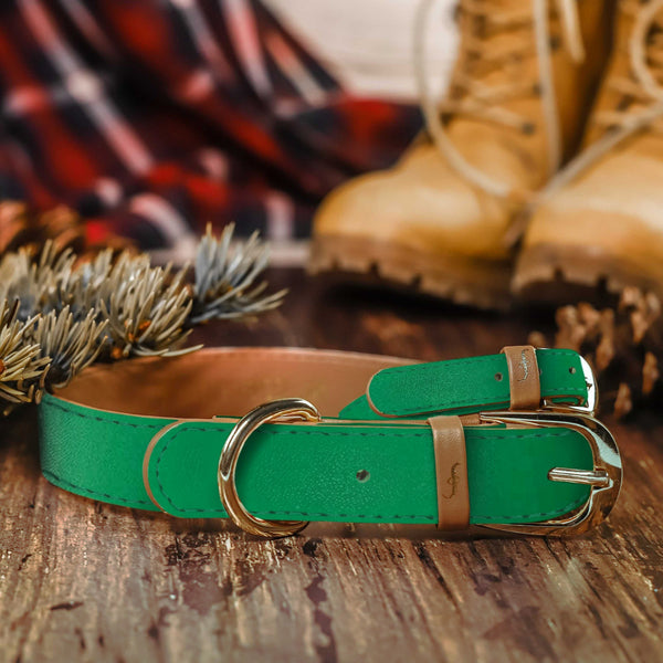 The Classic Pup: Forest Green