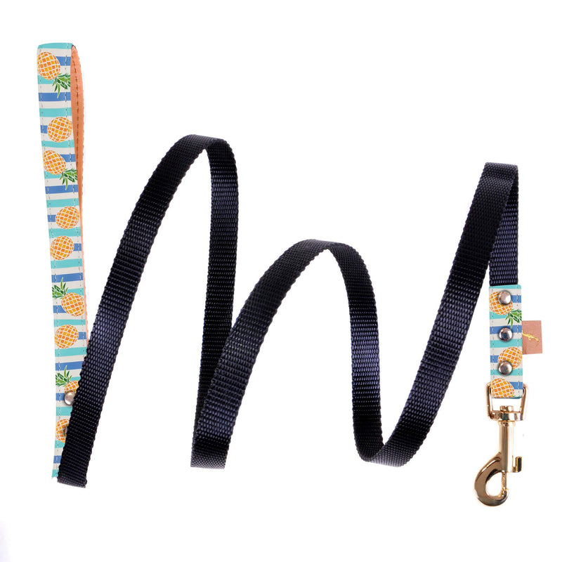 Pina Collarda - Leash