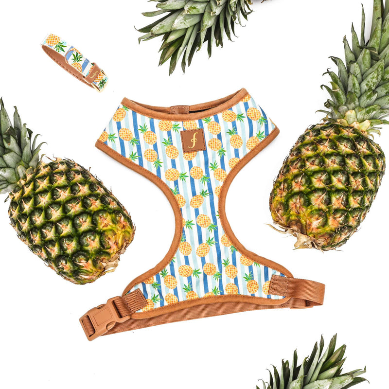Pina Collarda - Friendship Harness