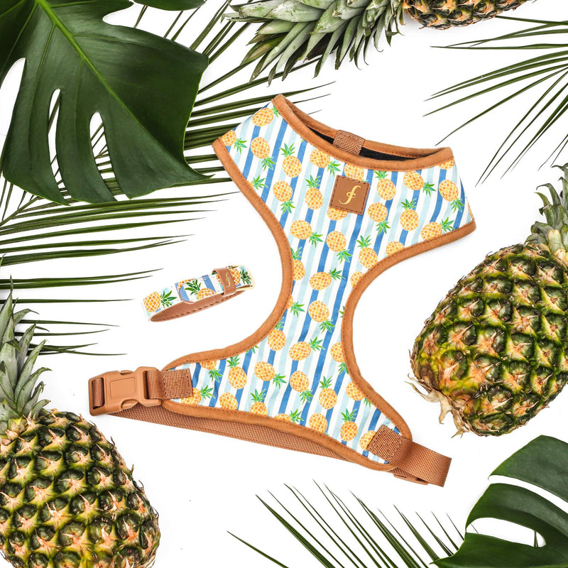 Pina Collarda - Friendship Harness