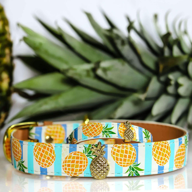 Pineapple Charm