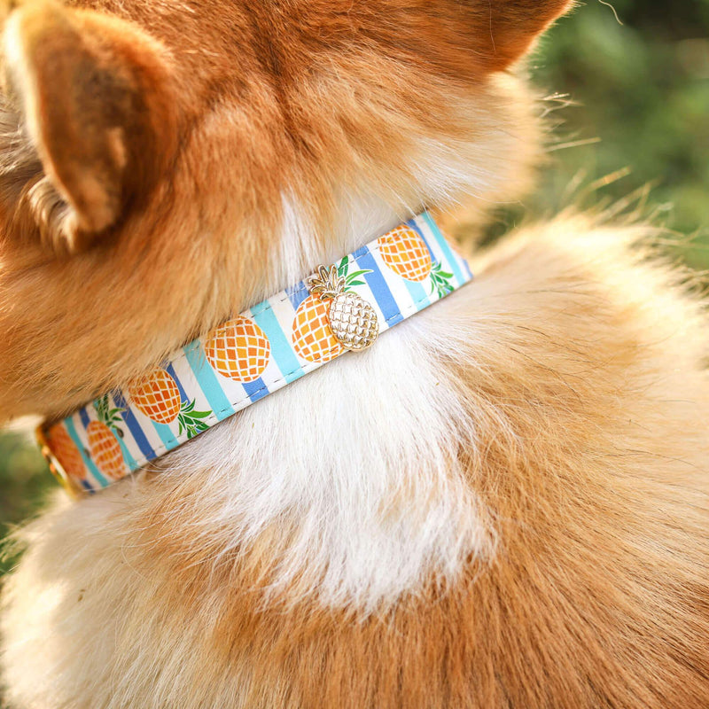 Pineapple Charm