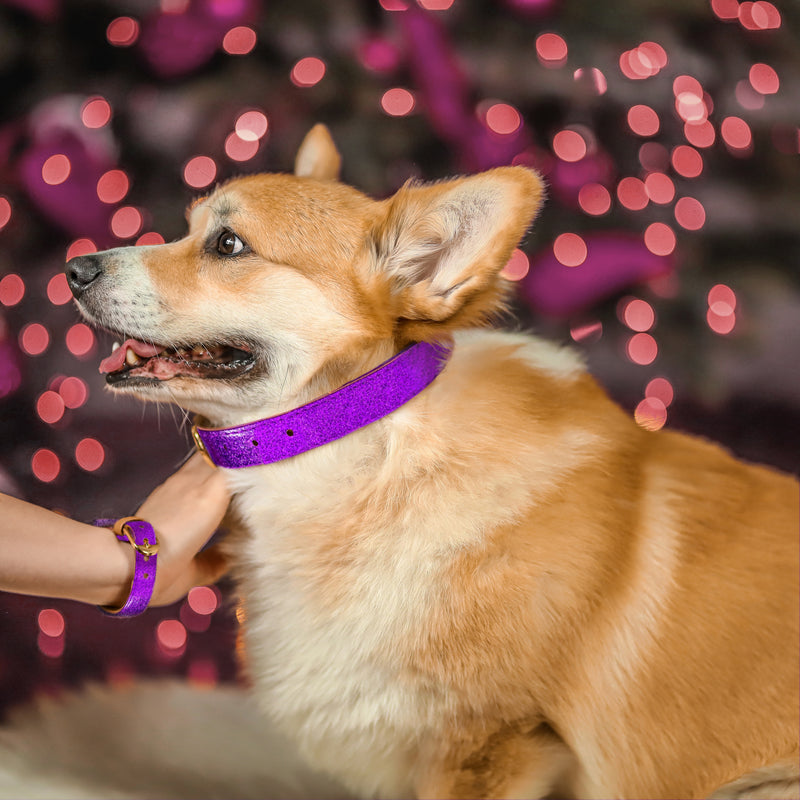 The Sparkling Pup: Glitter Purple