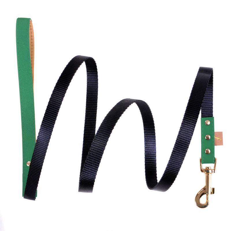 The Classic Pup: Forest Green - Leash