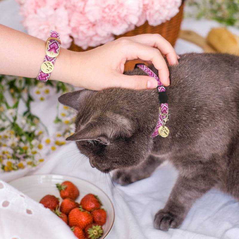 Miss Purrfect