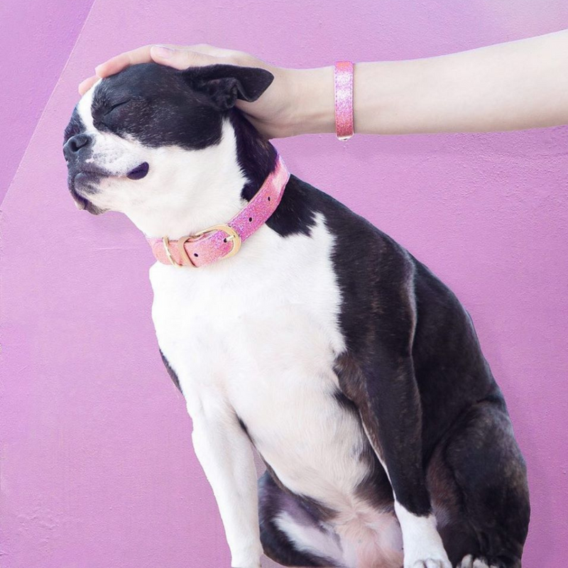 Pawsitively Pink